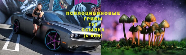 a pvp Аркадак